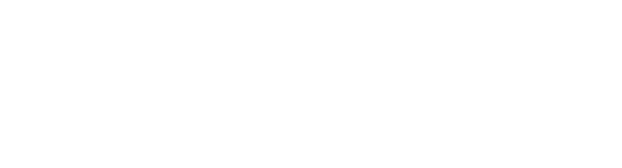 T Prisma Consulenza Aziendale